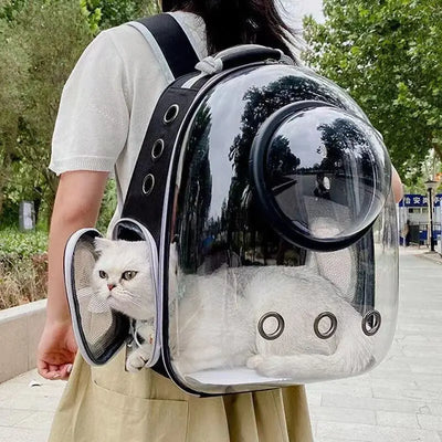 Sac transport SOFTPET 2 transparent pour chat et chiot design capsule spatiale portable
