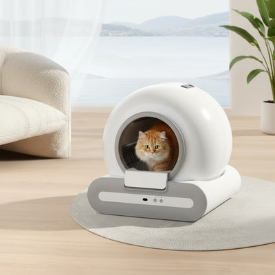 Litière automatique Litty Smart Pro connectée WiFi 2.4GHz pour chat avec contrôle par application
